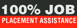 training center 100% Placement Assistance